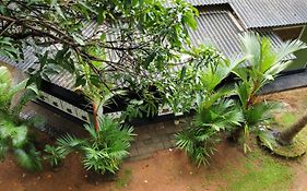 Green Bamboo House