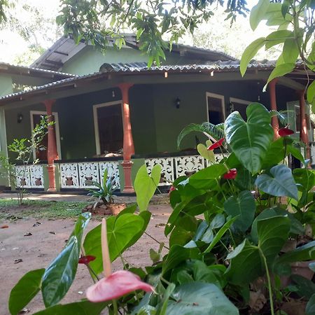 Green Bamboo House Sigiriya Buitenkant foto