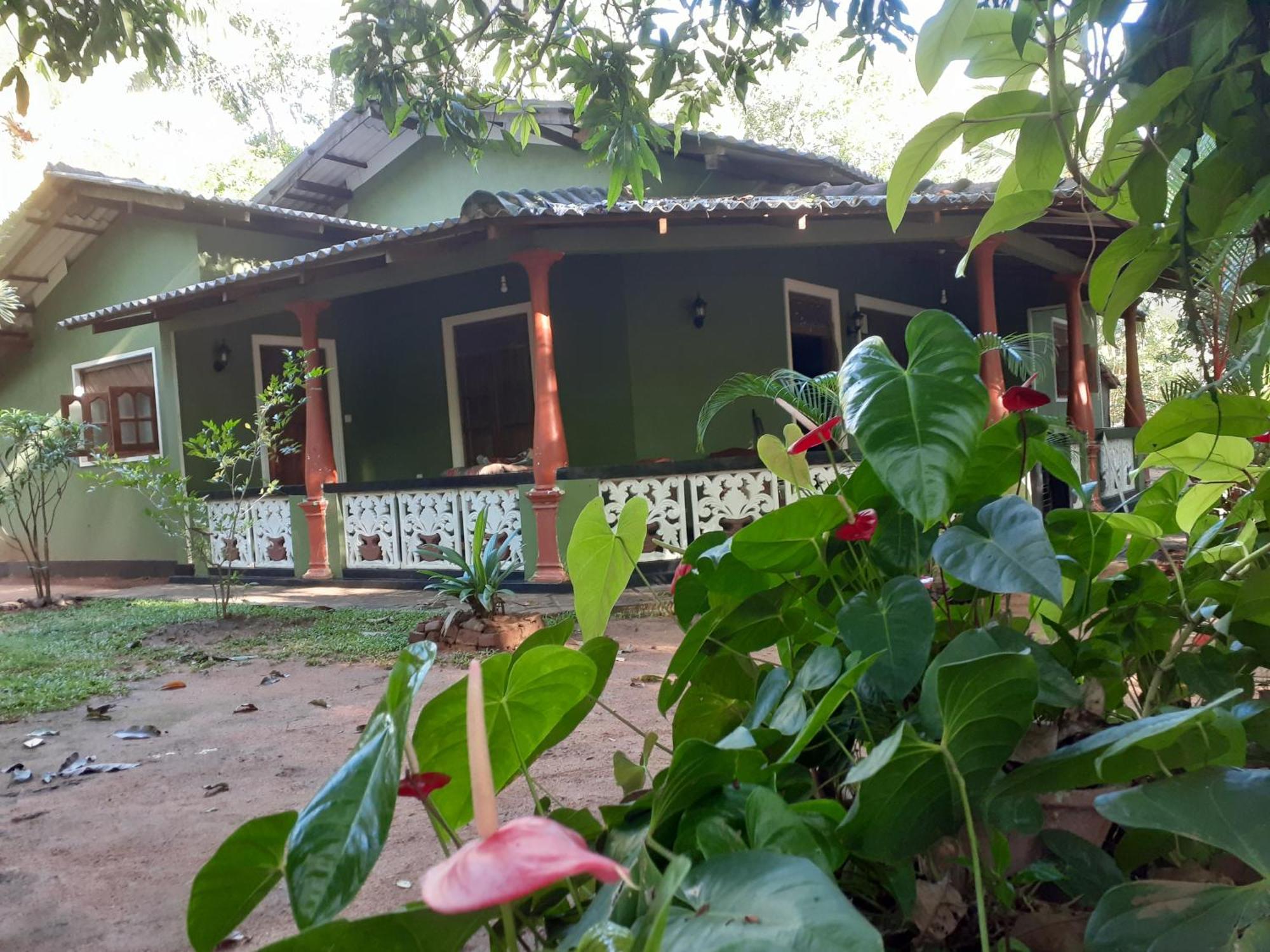 Green Bamboo House Sigiriya Buitenkant foto