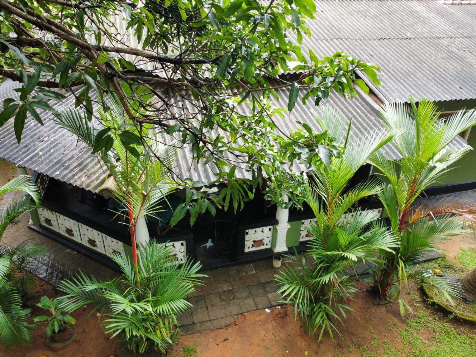 Green Bamboo House Sigiriya Buitenkant foto