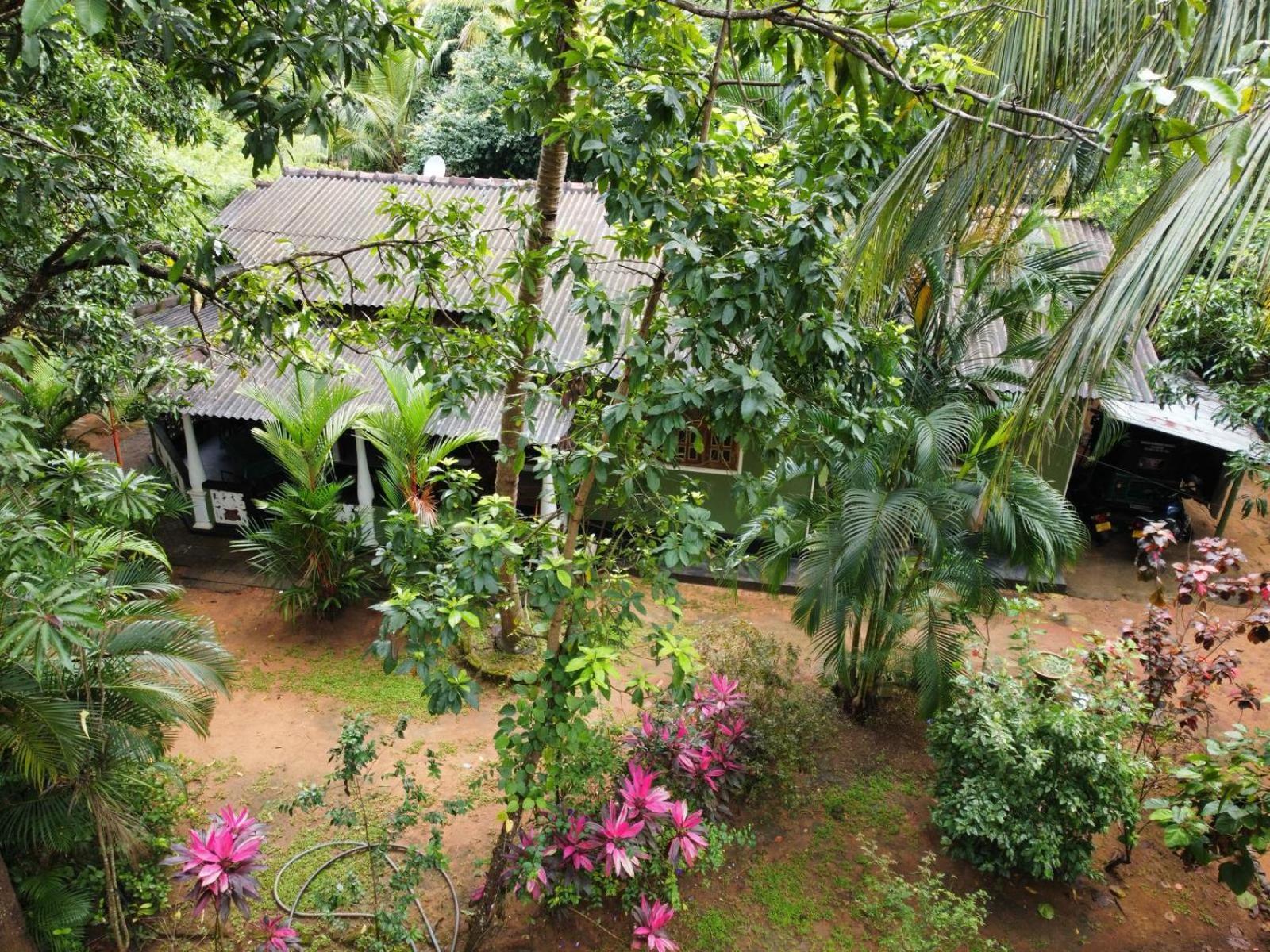 Green Bamboo House Sigiriya Buitenkant foto